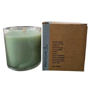 PartyLite Cucumber Ginger Mint Scented Jar Candle 8 oz G43431 Green Wax New